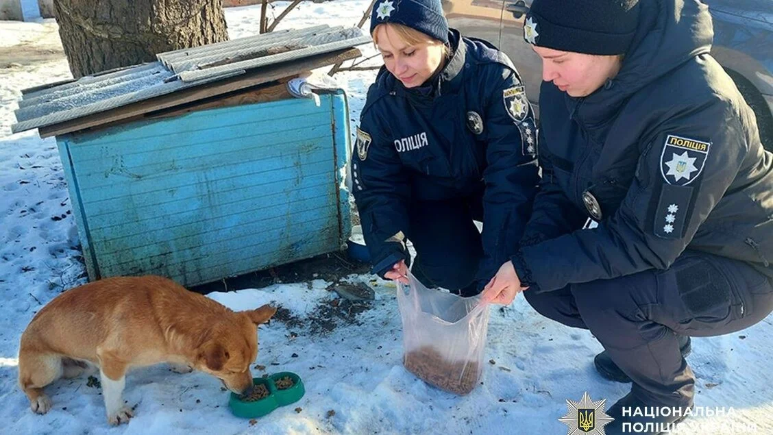 Берегти кожне життя: як чернігівські поліцейські рятують тварин від замерзання