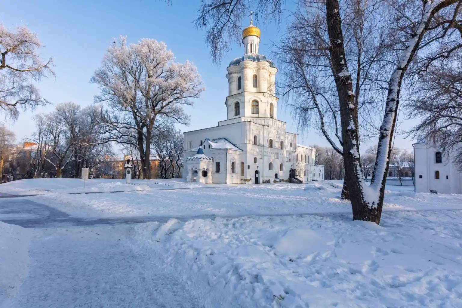 Білий камуфляж планети: що приховує звичайна сніжинка