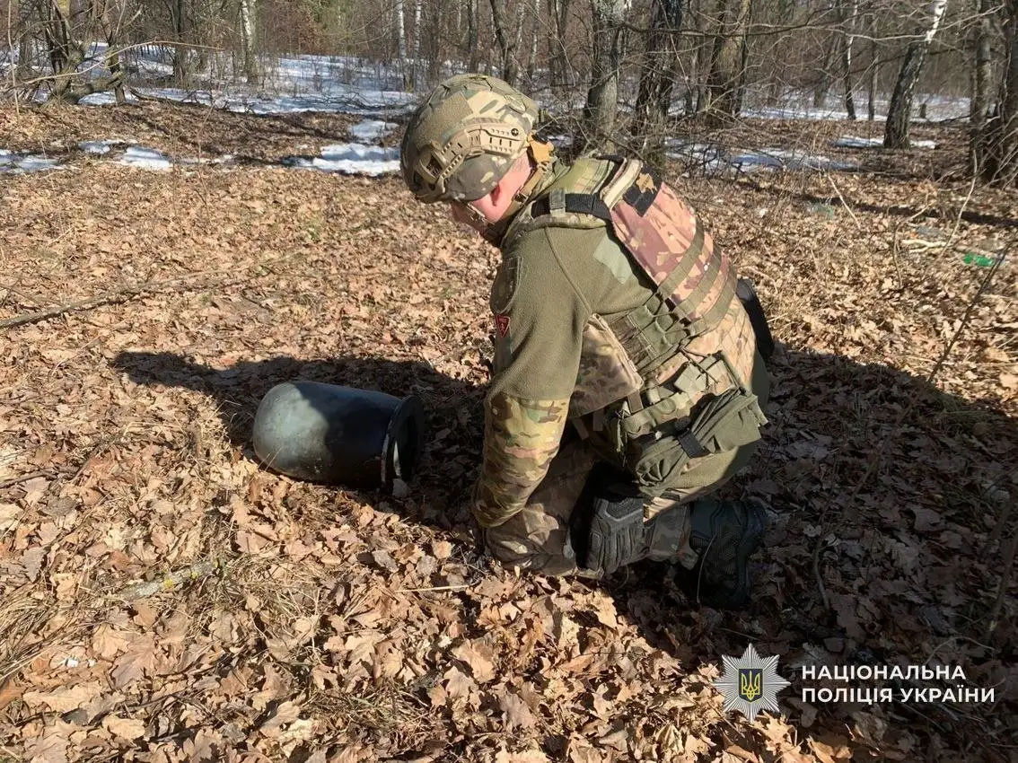 На Чернігівщині знешкодили бойову частину збитого російського дрона