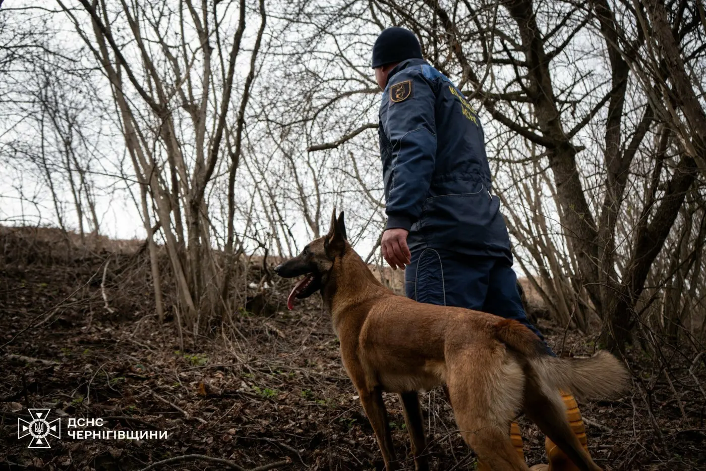 Трагедія біля Лебедівки: рятувальники виявили тіло зниклого чоловіка