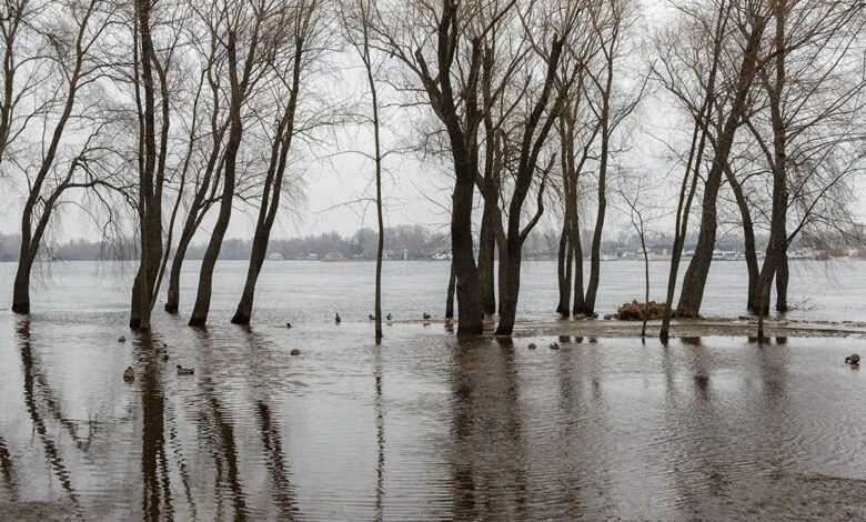 Велика вода на Десні: пік водопілля прогнозують протягом найближчих днів