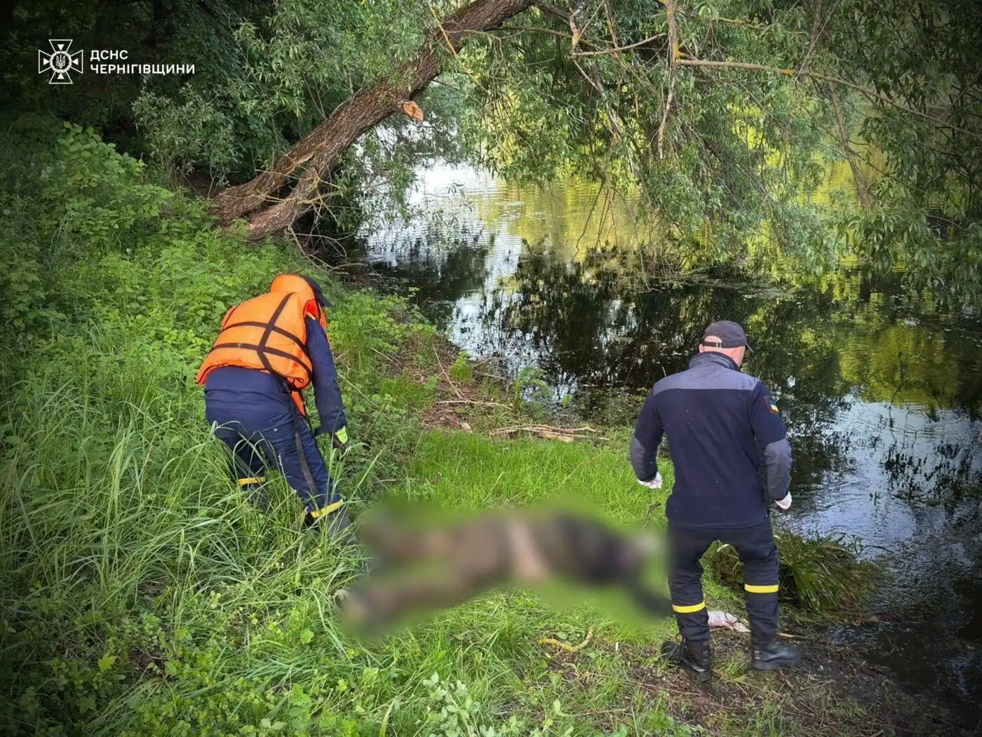 На Чернігівщині з водойми вилучили тіло загиблого