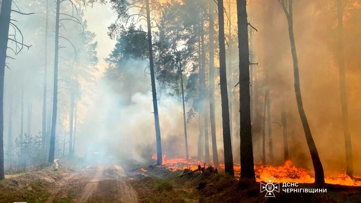 Бойові дії спричинили нові пожежі на Чернігівщині