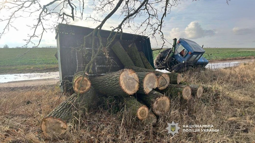 Вертіївська громада отримає майже 760 тисяч гривень за знищені дерева: суди на Чернігівщині покарали двох чоловіків