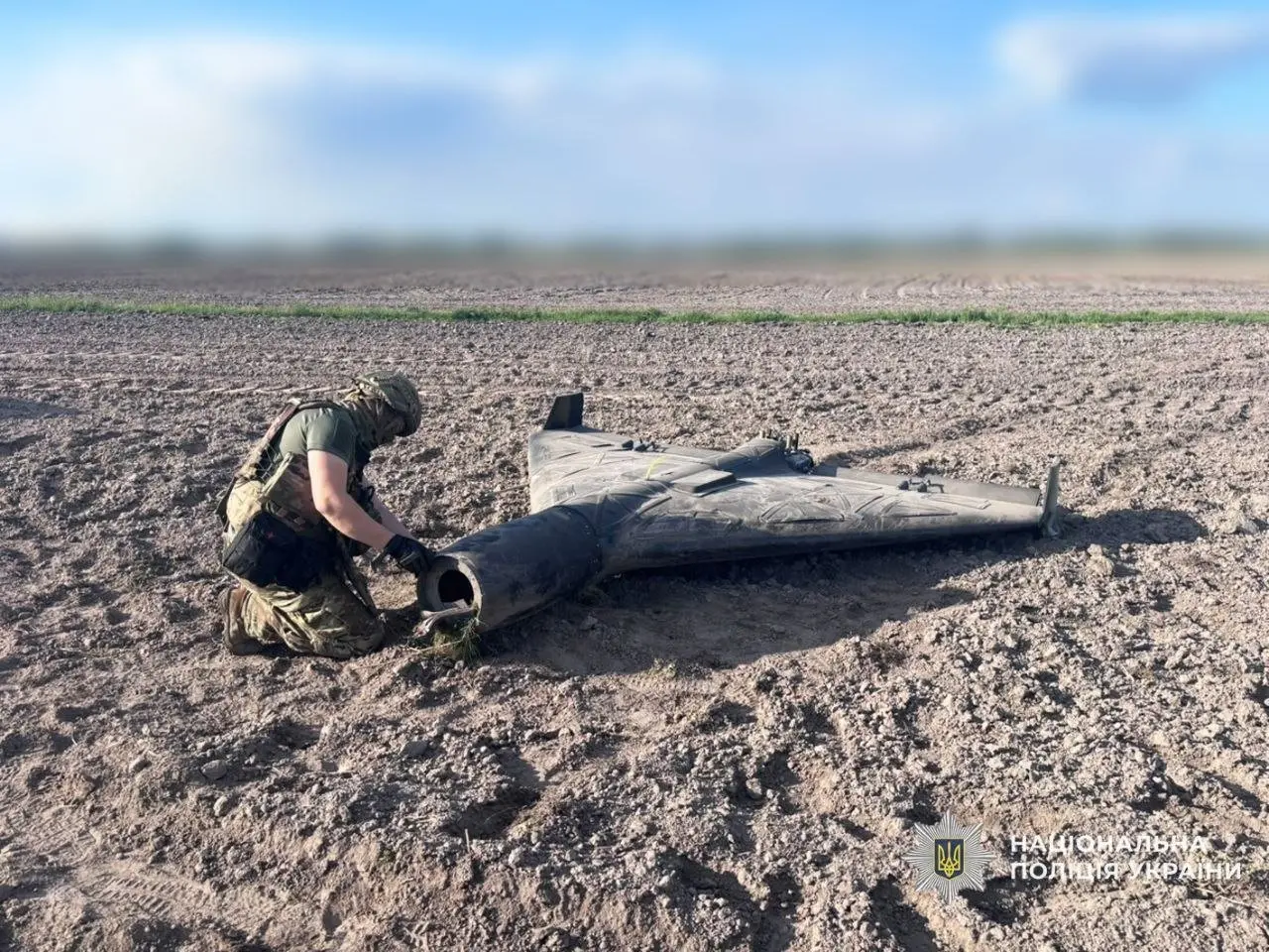 Вертіївська громада отримає майже 760 тисяч гривень за знищені дерева: суди на Чернігівщині покарали двох чоловіків